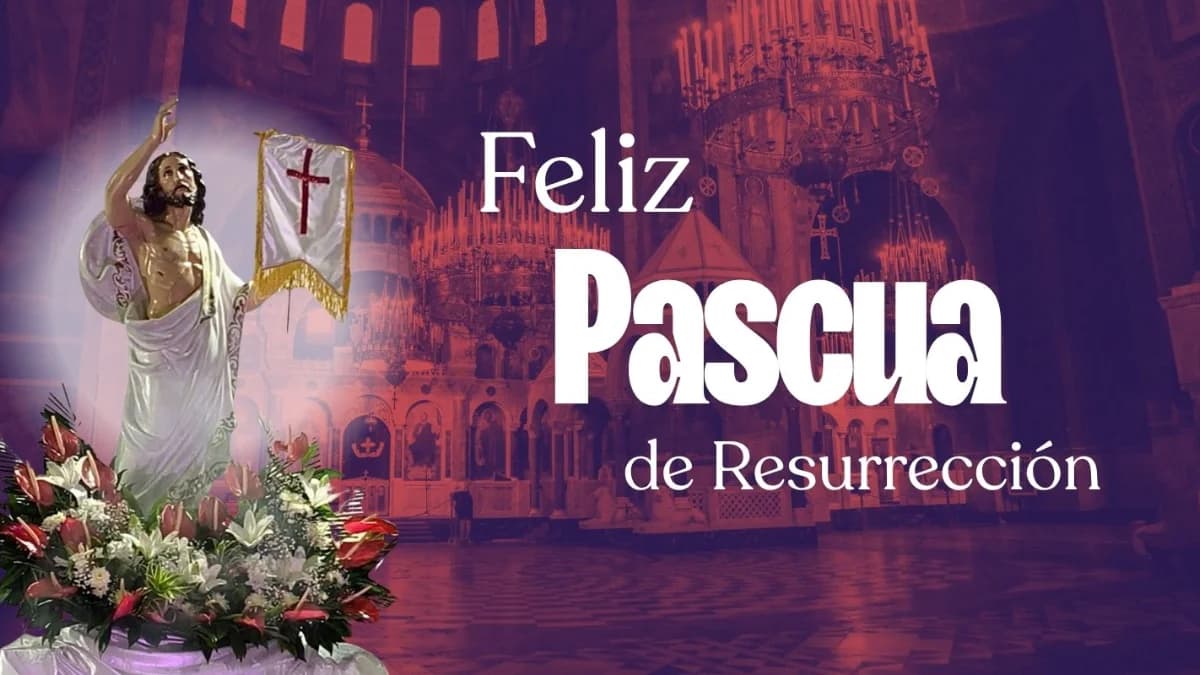 Feliz
